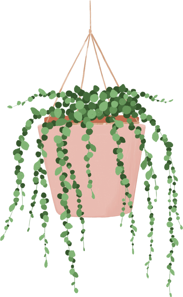 String of Pearls